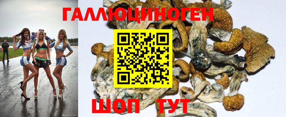 Галлюциногенные грибы ЛСД  Псилоцибиновые грибы Magic Shrooms  Вход с VPN  Ревда 