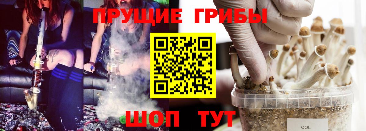 Псилоцибиновые грибы Psilocybine cubensis Ревда